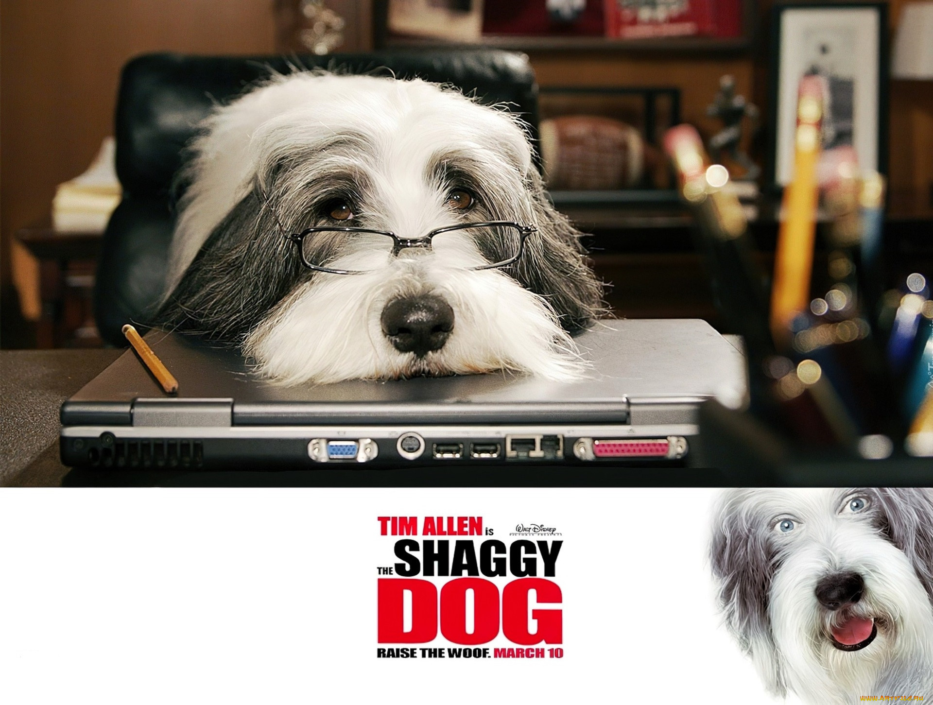  , the shaggy dog, , , , 